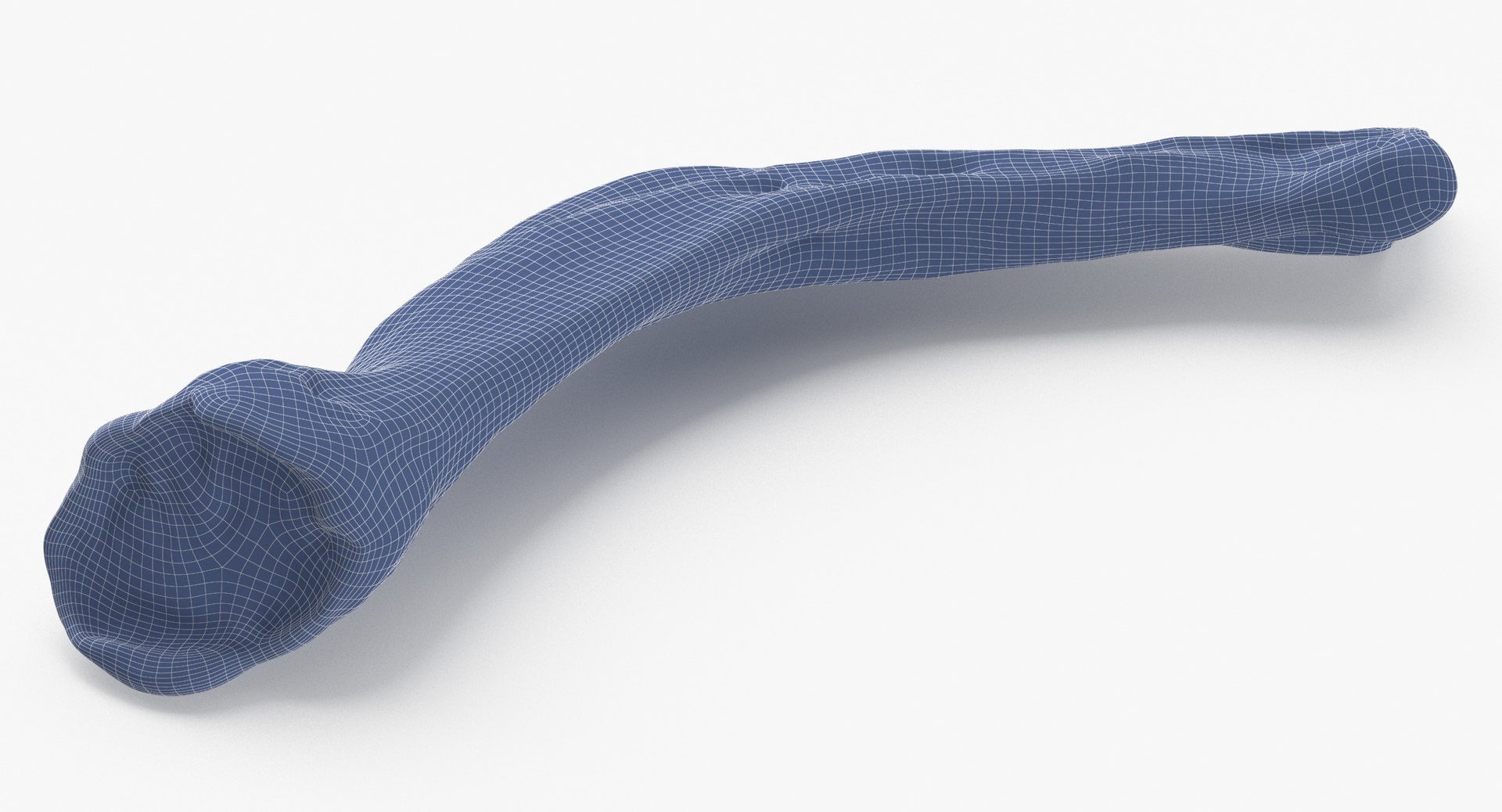 Domestic Dog Hyoid Apparatus Stylohyoid Bone 01 3D Model - TurboSquid 2122403