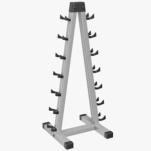 Empty Gym Rack