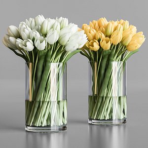 3D model White and yellow tulips