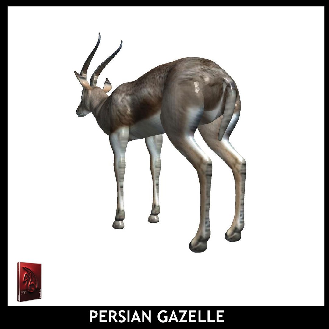 maya persian gazelle https://p.turbosquid.com/ts-thumb/2C/iPV1a0/CyUzHho9/pg8/jpg/1426931878/1920x1080/fit_q87/0593a2495086310887c472e7ac52e9e27a938675/pg8.jpg