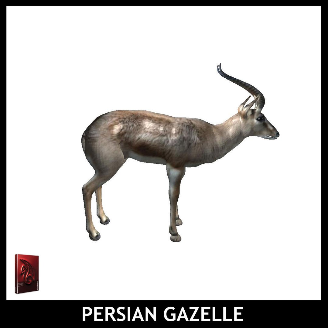 maya persian gazelle https://p.turbosquid.com/ts-thumb/2C/iPV1a0/SNUi5czj/pg9/jpg/1426931894/1920x1080/fit_q87/84a1e1752459680e69f32ae3e0de1075541eb525/pg9.jpg