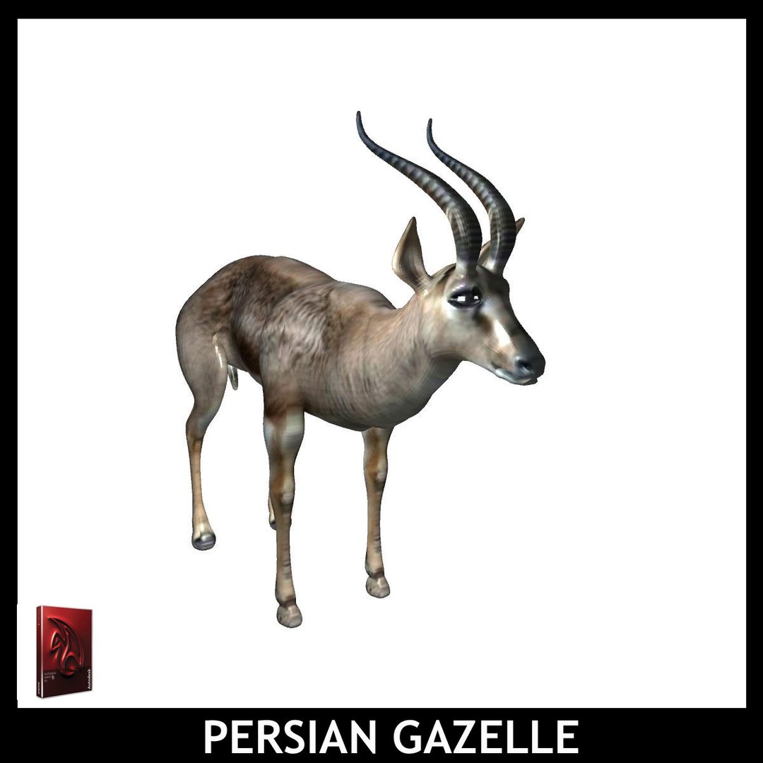 maya persian gazelle https://p.turbosquid.com/ts-thumb/2C/iPV1a0/ihZb22ix/pg3/jpg/1426931812/1920x1080/fit_q87/8ac2cbf6a2ccc816a1de39f19b9660d744520931/pg3.jpg