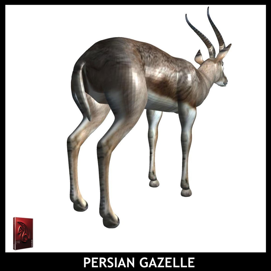 maya persian gazelle https://p.turbosquid.com/ts-thumb/2C/iPV1a0/otEl447J/pg7/jpg/1426931863/1920x1080/fit_q87/aed24274b9e33dea46e7ea6e062bfbd14273b9d1/pg7.jpg