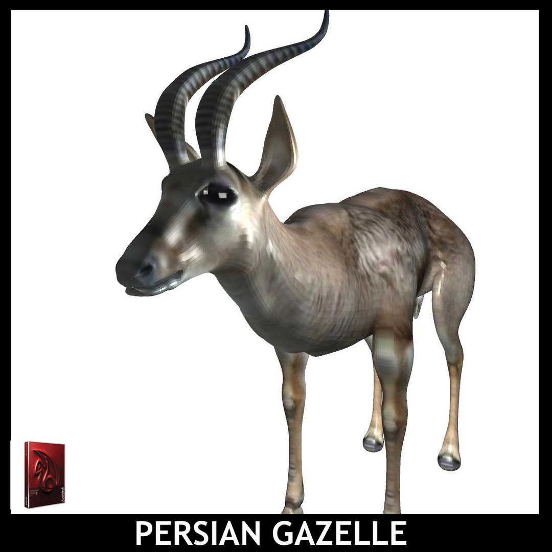 maya persian gazelle https://p.turbosquid.com/ts-thumb/2C/iPV1a0/pUcnIV3w/pg4/jpg/1426931829/1920x1080/fit_q87/07683a063691c2425f4d8ab160f16db5e14edaf4/pg4.jpg