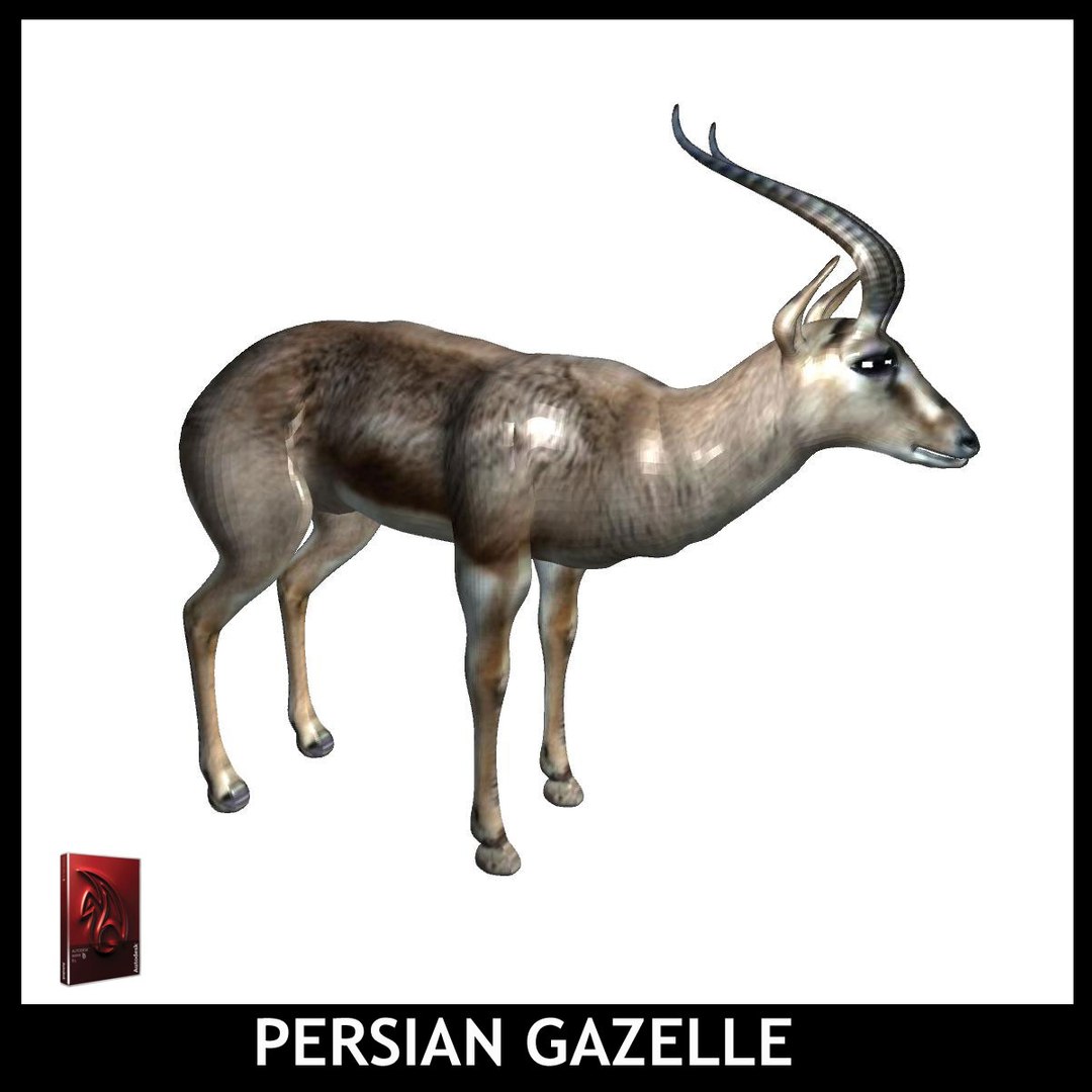 maya persian gazelle https://p.turbosquid.com/ts-thumb/2C/iPV1a0/xickaFnr/pg2/jpg/1426931797/1920x1080/fit_q87/dbf191b7e6fe403ef84404d7b71d7a943afb583b/pg2.jpg