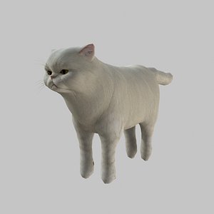 Persian Cat 3D model