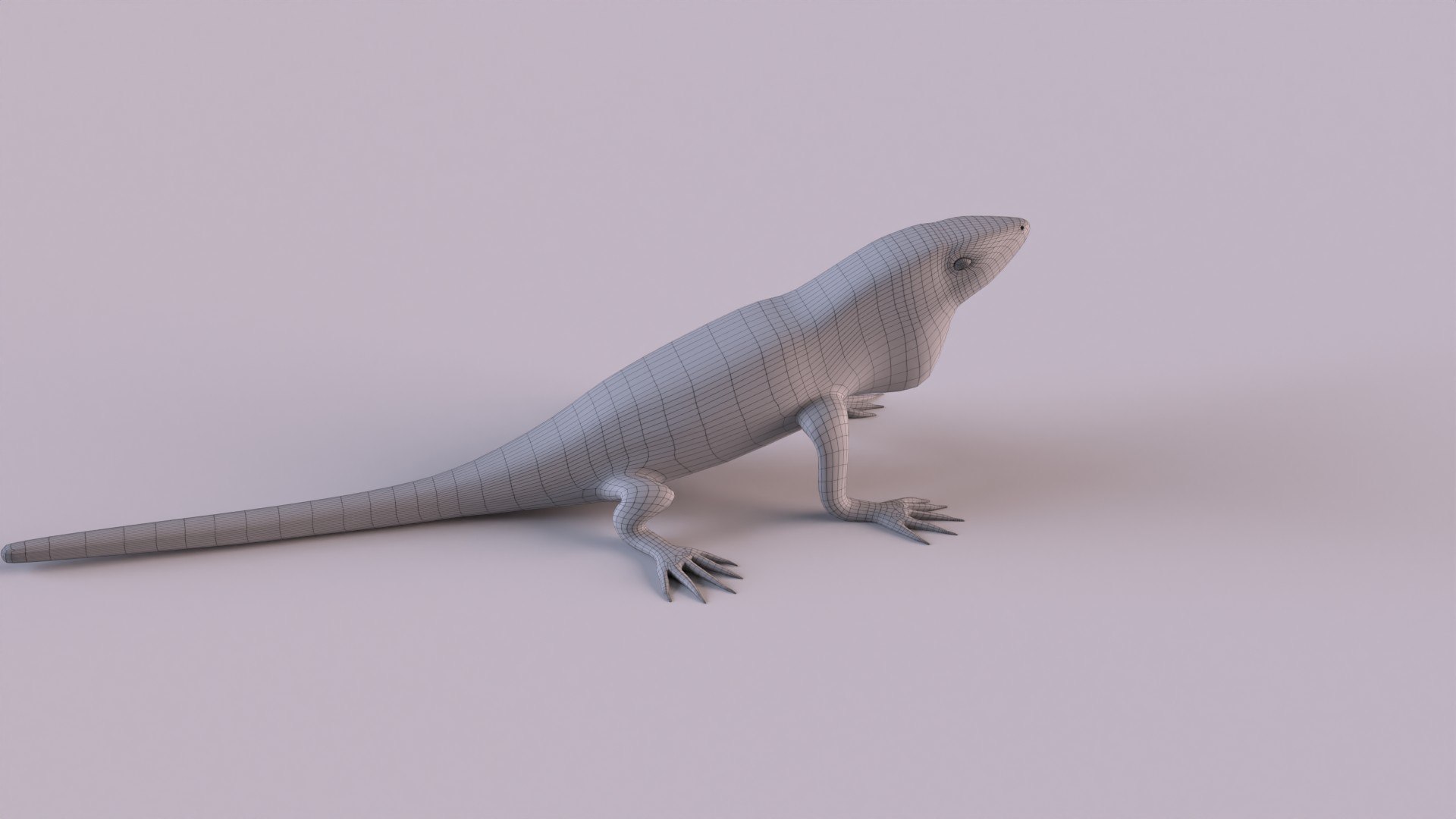 3d anole lizard model