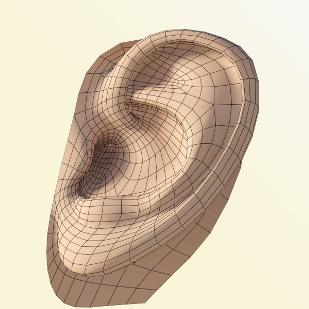Free Ear Head Man 3d Model