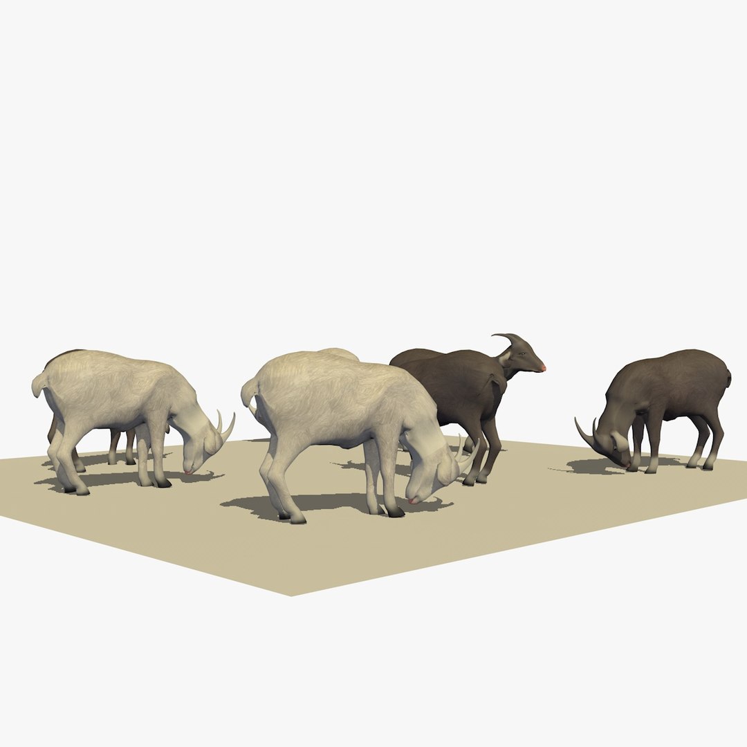 3D version 2 herd goats https://p.turbosquid.com/ts-thumb/2C/qr59UV/2x2AcXnR/07goatseatingver23/jpg/1494256874/1920x1080/fit_q87/5a5074e7acd84ed1417ee2ba17f2c449fc850382/07goatseatingver23.jpg