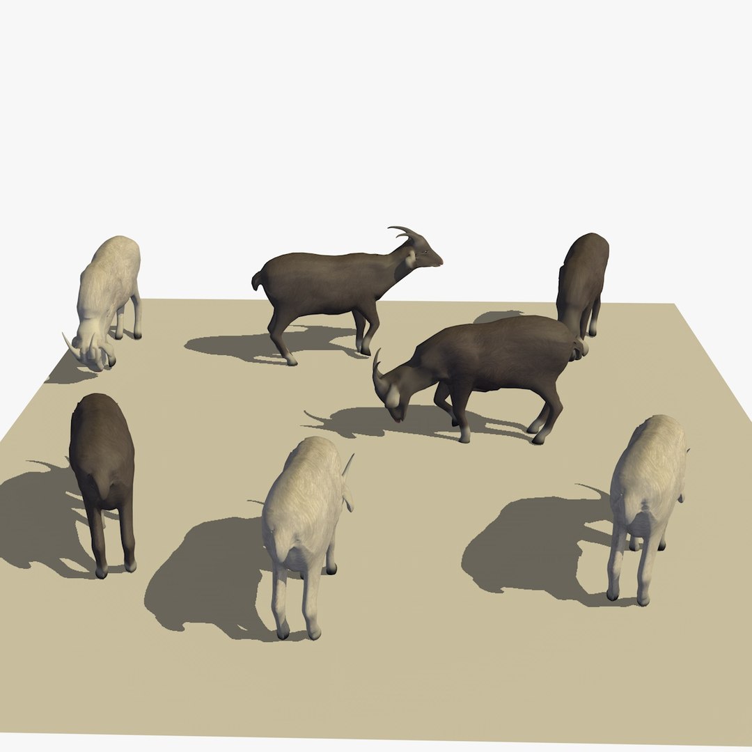 3D version 2 herd goats https://p.turbosquid.com/ts-thumb/2C/qr59UV/9Ckr0VCi/07goatseatingver211/jpg/1494256874/1920x1080/fit_q87/a852183bda6a91519eb53181d074124b93c9a4f3/07goatseatingver211.jpg