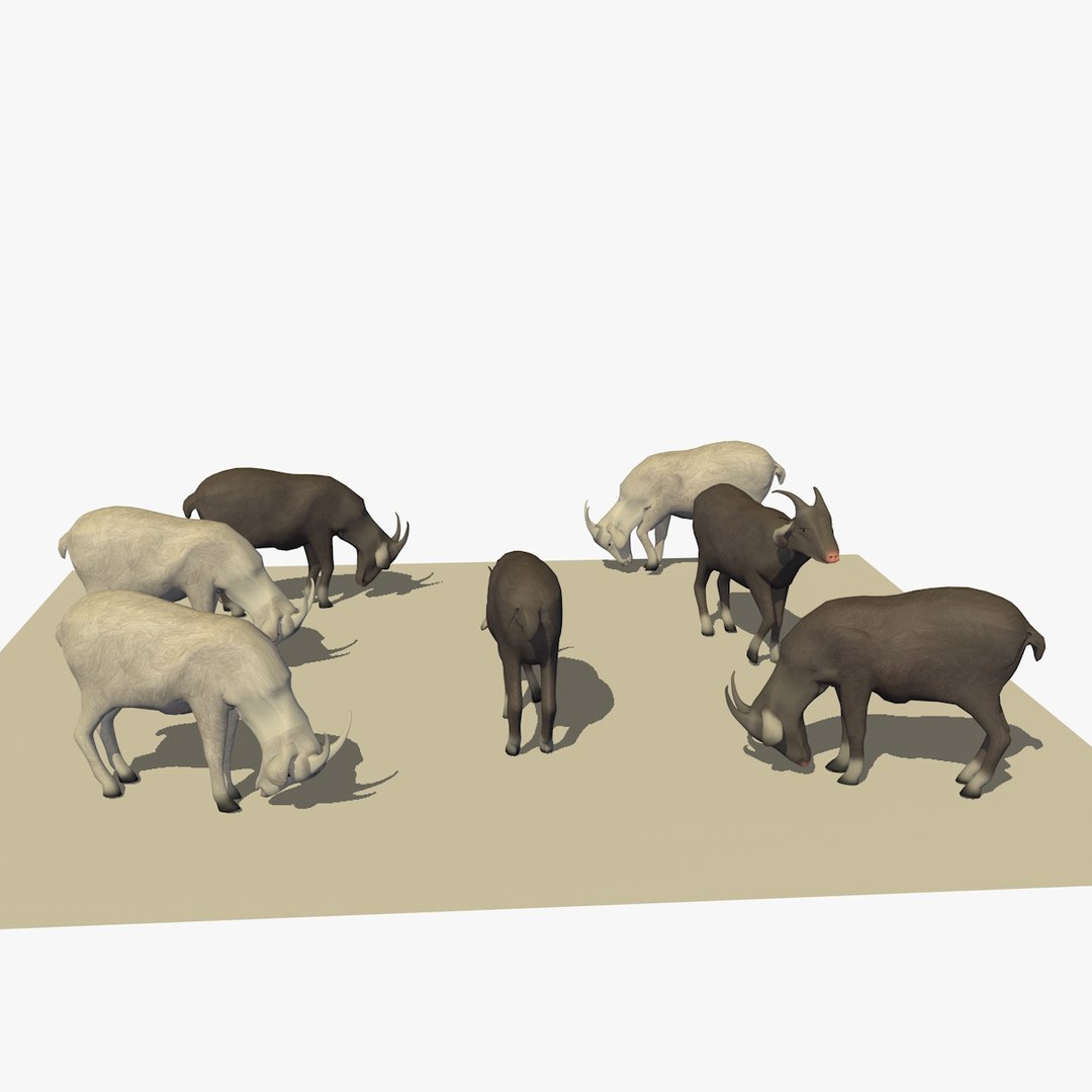 3D version 2 herd goats https://p.turbosquid.com/ts-thumb/2C/qr59UV/QrsDnInA/07goatseatingver25/jpg/1494256874/1920x1080/fit_q87/a65313837b6e7206df8a4e94e7e19c9049e0d381/07goatseatingver25.jpg