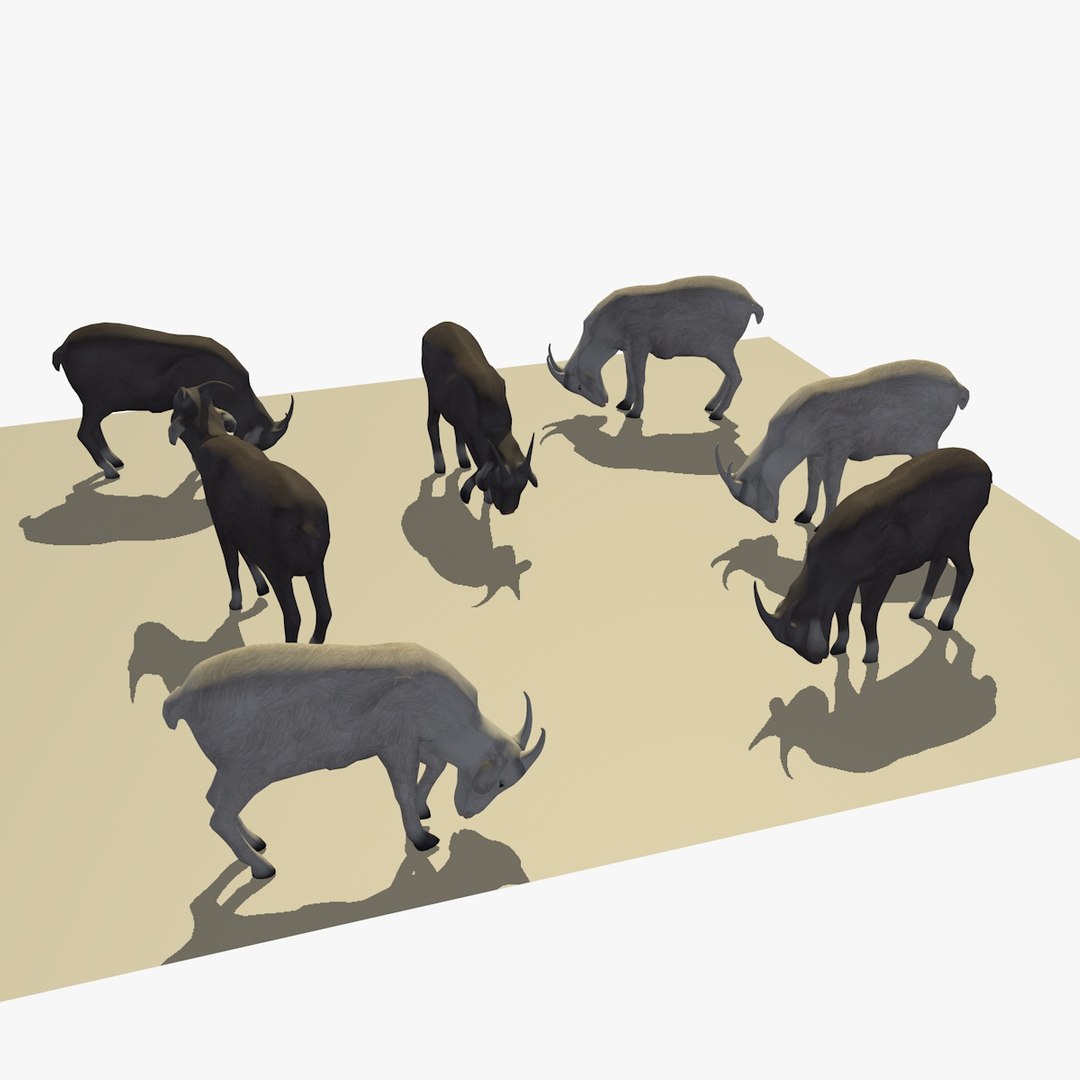 3D version 2 herd goats https://p.turbosquid.com/ts-thumb/2C/qr59UV/UBHFETk0/07goatseatingver28/jpg/1494256874/1920x1080/fit_q87/2b6fa7176b36e7a4dc9edfc62984b9de3ab93955/07goatseatingver28.jpg