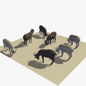 3D version 2 herd goats