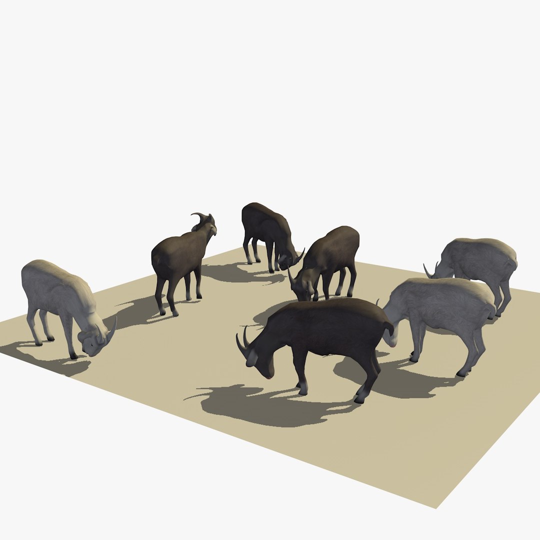 3D version 2 herd goats https://p.turbosquid.com/ts-thumb/2C/qr59UV/eSSbPslu/07goatseatingver29/jpg/1494256874/1920x1080/fit_q87/65f8ef503d450d04920cf1535e9cc3c161aa8ea3/07goatseatingver29.jpg