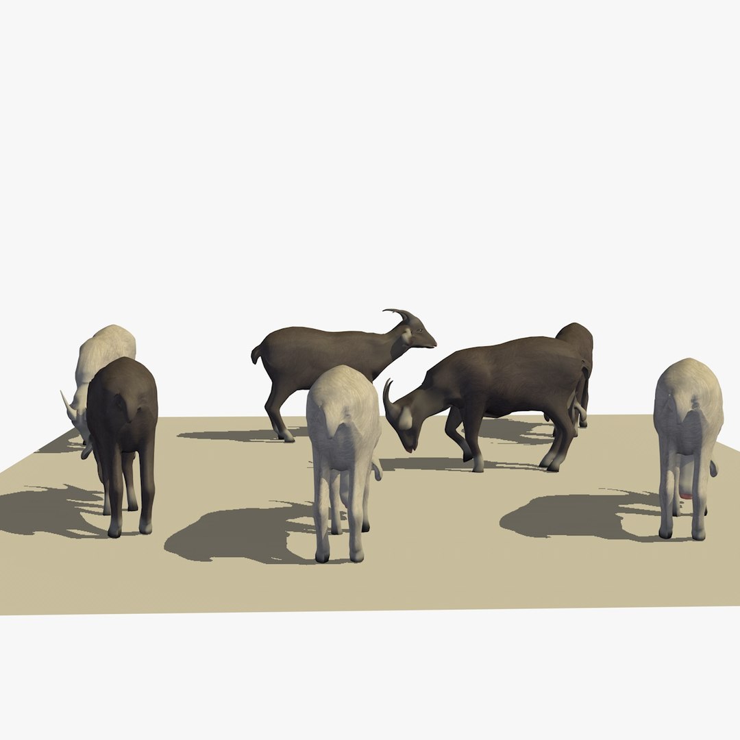 3D version 2 herd goats https://p.turbosquid.com/ts-thumb/2C/qr59UV/q7bl327O/07goatseatingver22/jpg/1494256874/1920x1080/fit_q87/991fe4ac29529aa0f1e4d892e4edd3e4a2878171/07goatseatingver22.jpg