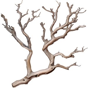 Decorative dry weathered tree branch in eco-style 3D model model