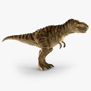 3d tyrannosaurus rex rigged model