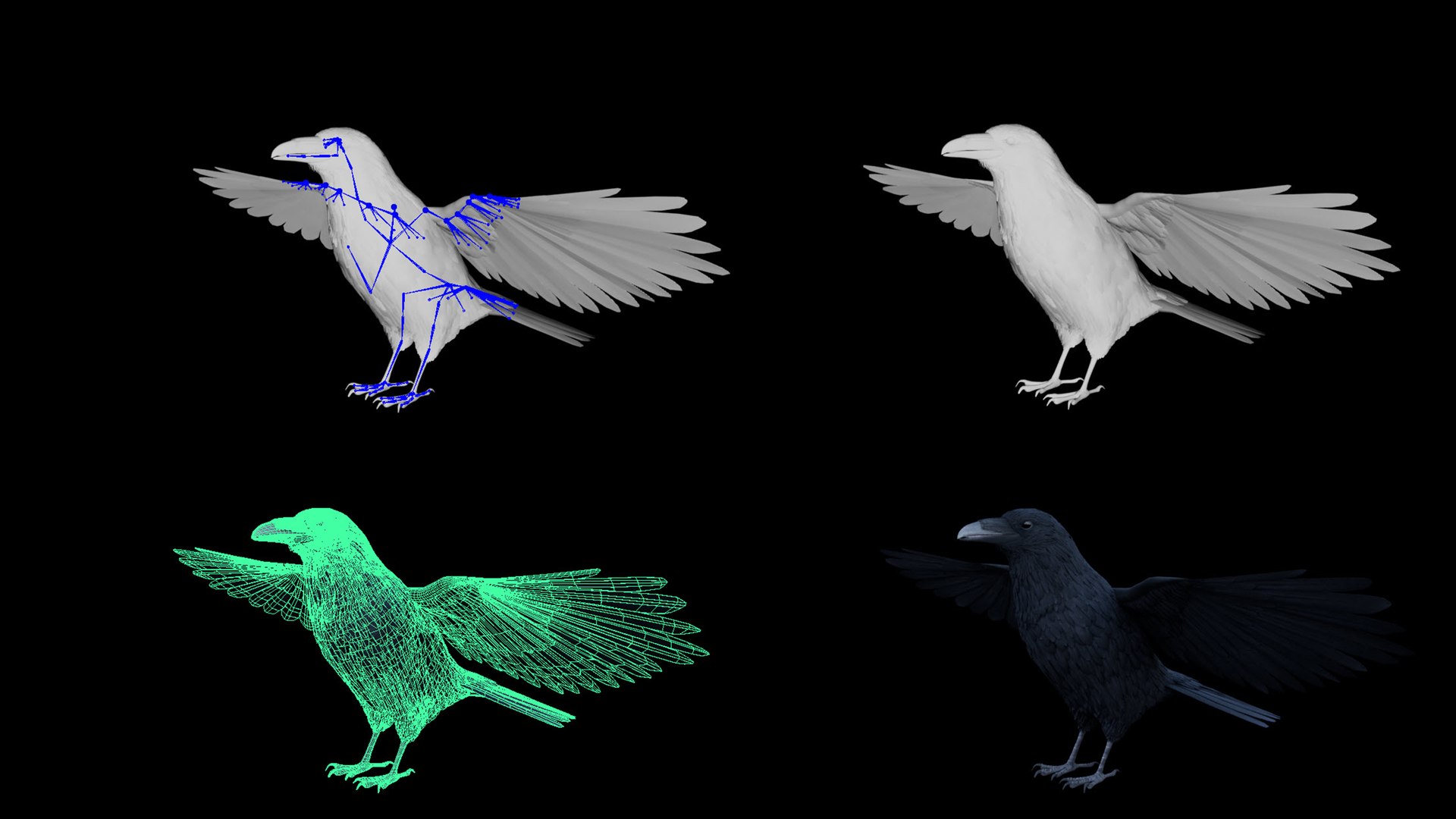 RealisticAnimatedRaven model https://p.turbosquid.com/ts-thumb/2D/0tlpXL/4g/untitled1/jpg/1736651929/1920x1080/fit_q87/fa283de0242d2f0ef65476b4da751eb18ff4f971/untitled1.jpg