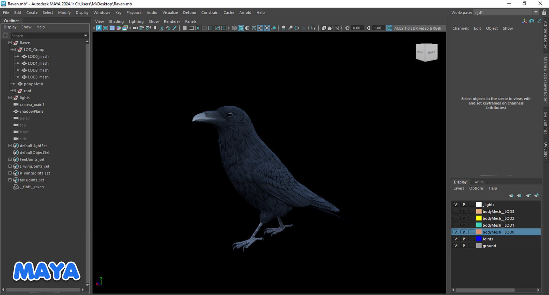 RealisticAnimatedRaven model https://p.turbosquid.com/ts-thumb/2D/0tlpXL/63/20250111_013249/jpg/1736651924/1920x1080/fit_q87/da93db6a545aa3aaaafe476b50870cceeaec0cb7/20250111_013249.jpg