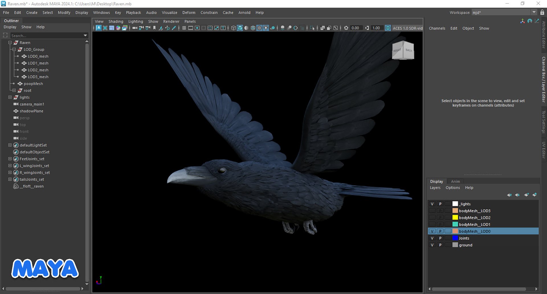 RealisticAnimatedRaven model https://p.turbosquid.com/ts-thumb/2D/0tlpXL/PI/20250111_014216/jpg/1736651925/1920x1080/fit_q87/9733c4fafefbddd1f3fe235affc9a460fb72a1f1/20250111_014216.jpg
