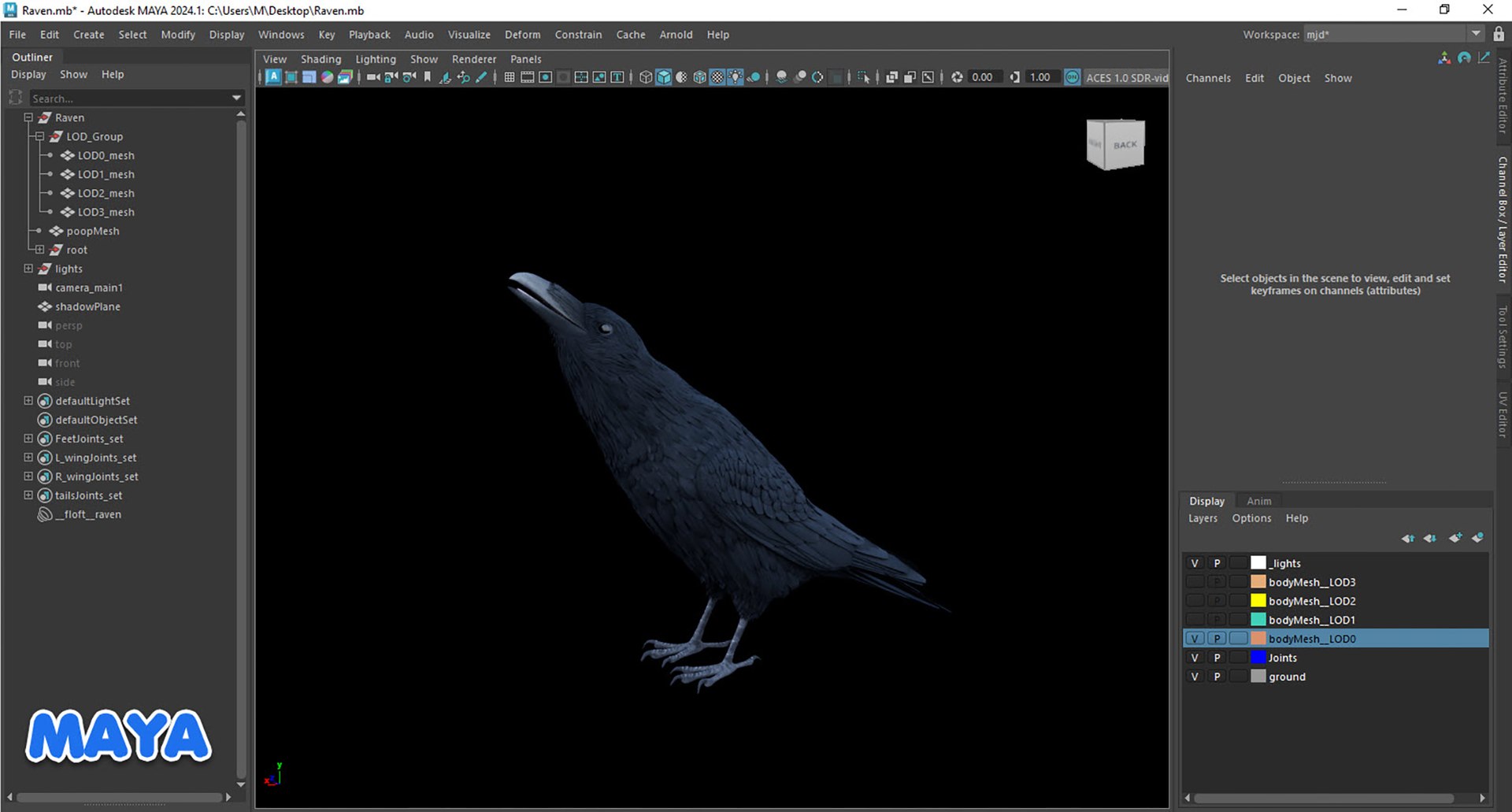RealisticAnimatedRaven model https://p.turbosquid.com/ts-thumb/2D/0tlpXL/yQ/20250111_015648/jpg/1736651926/1920x1080/fit_q87/a655f9c9b4951f87e6c275af5baea08a215ac0b9/20250111_015648.jpg