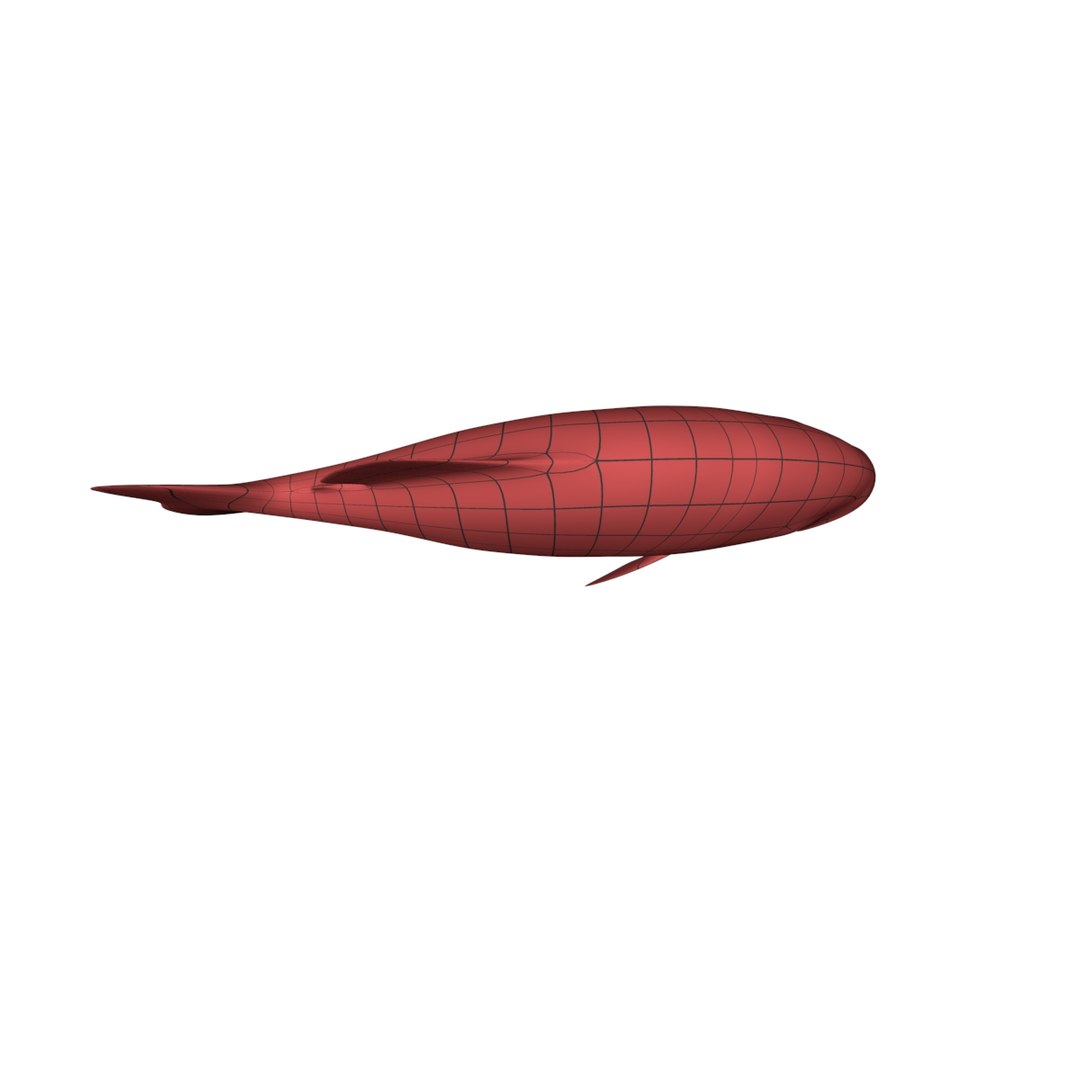 3d base mesh piranha fish