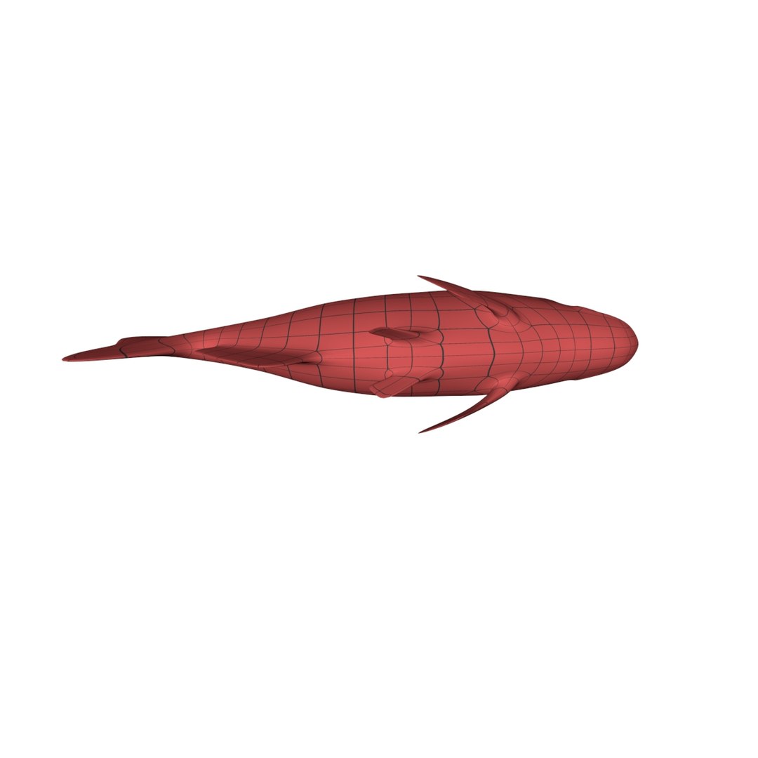 3d base mesh piranha fish