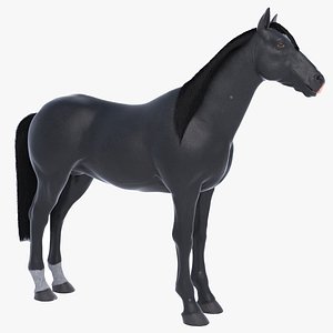 3d model realistic black horse