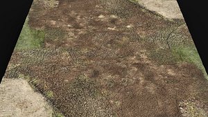 3D terrain ground grass bushes patch pt6 PBR photogrammetry model