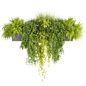 Collection plant vol 402 - Indoor - balcony - ampelous -  blender - 3dmax - cinema 4d model