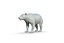 Black Bear