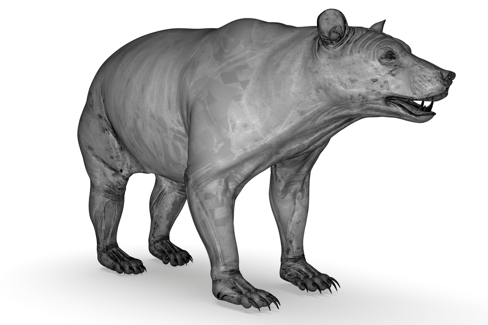 Black Bear model https://p.turbosquid.com/ts-thumb/2D/g4LWKe/Fn/render_21/jpg/1710784361/1920x1080/fit_q87/30a87a86df2dc1296a502e15bbe4e88fb9771841/render_21.jpg