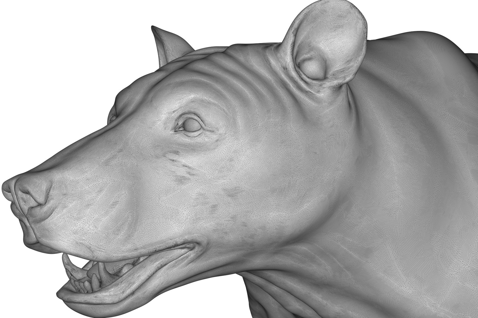 Black Bear model https://p.turbosquid.com/ts-thumb/2D/g4LWKe/GA/render_22/jpg/1710784364/1920x1080/fit_q87/da9ce56deabee3f7fc537d03f15bb6917d2c6b91/render_22.jpg