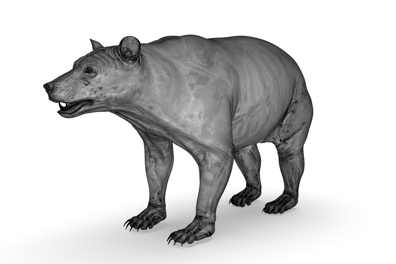 Black Bear model https://p.turbosquid.com/ts-thumb/2D/g4LWKe/N7/render_20/jpg/1710784363/1920x1080/fit_q87/777c7b19b7527d27f7f5b3965e66b81685f8a2d0/render_20.jpg