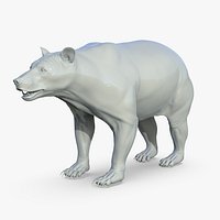 Black Bear