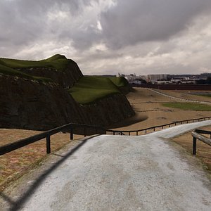 forest terrain landscape 3D