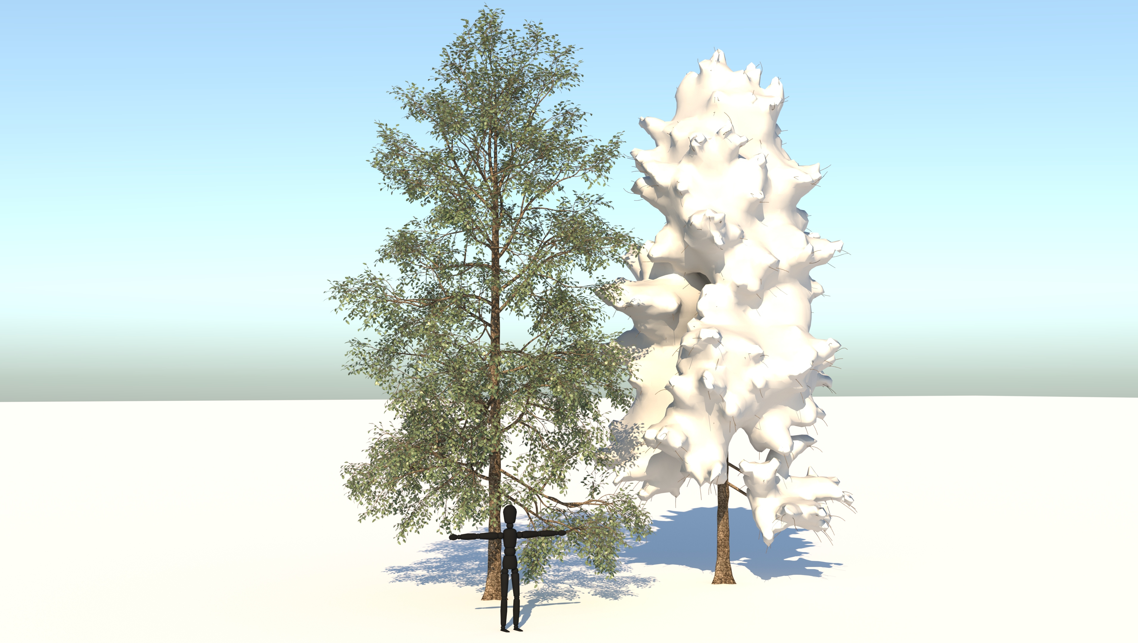季节白桦树3d模型