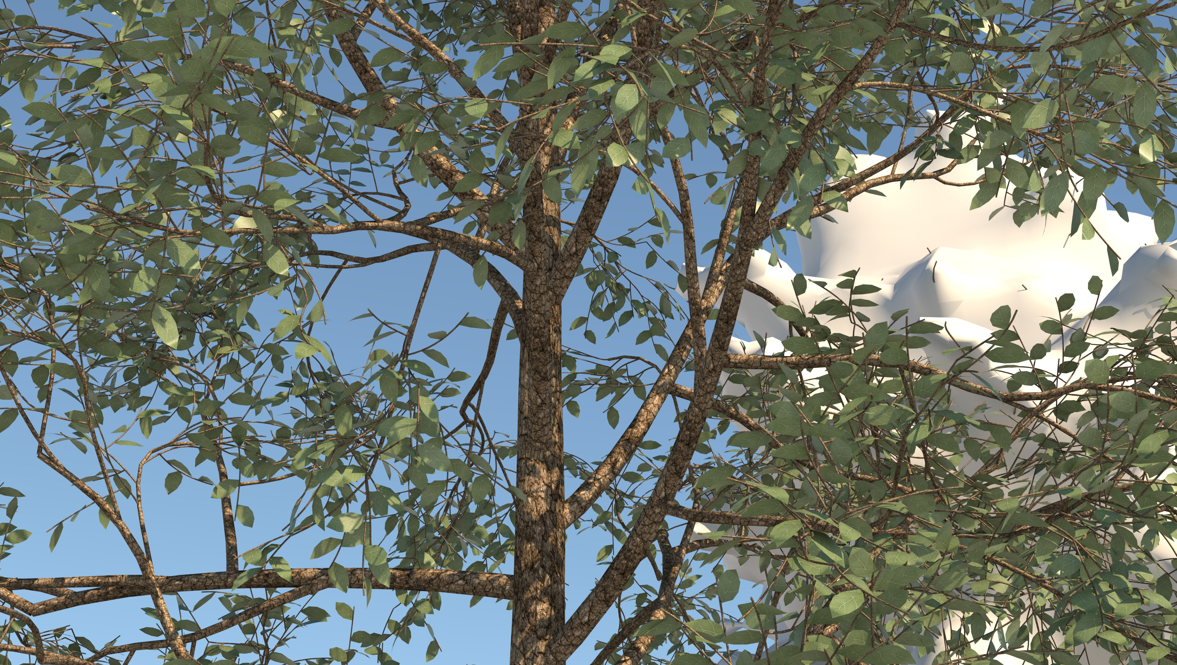 3d birch tree model