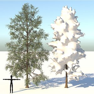 3D birch tree model