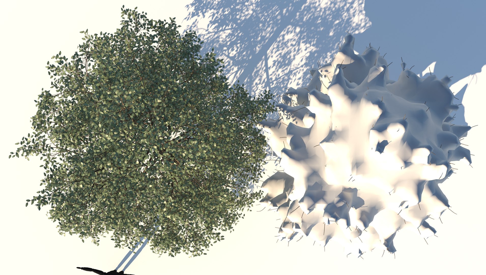 3D birch tree model - TurboSquid 1676630