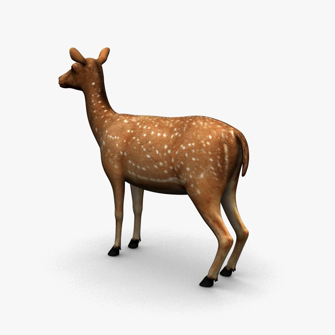 deer animation max https://p.turbosquid.com/ts-thumb/2D/mT0v0Q/QbEl3gXk/deer_5/jpg/1327944541/1920x1080/fit_q87/aee7738afeb23e7cb19f2ba247cf19abae560fd1/deer_5.jpg