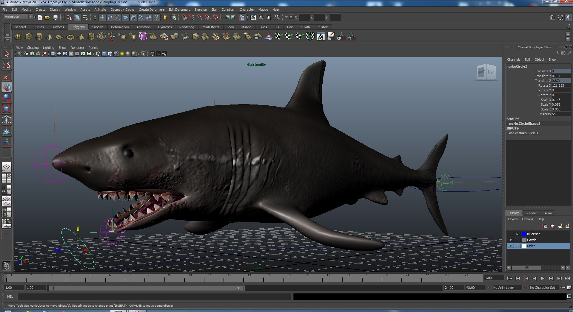 rigged shark ma