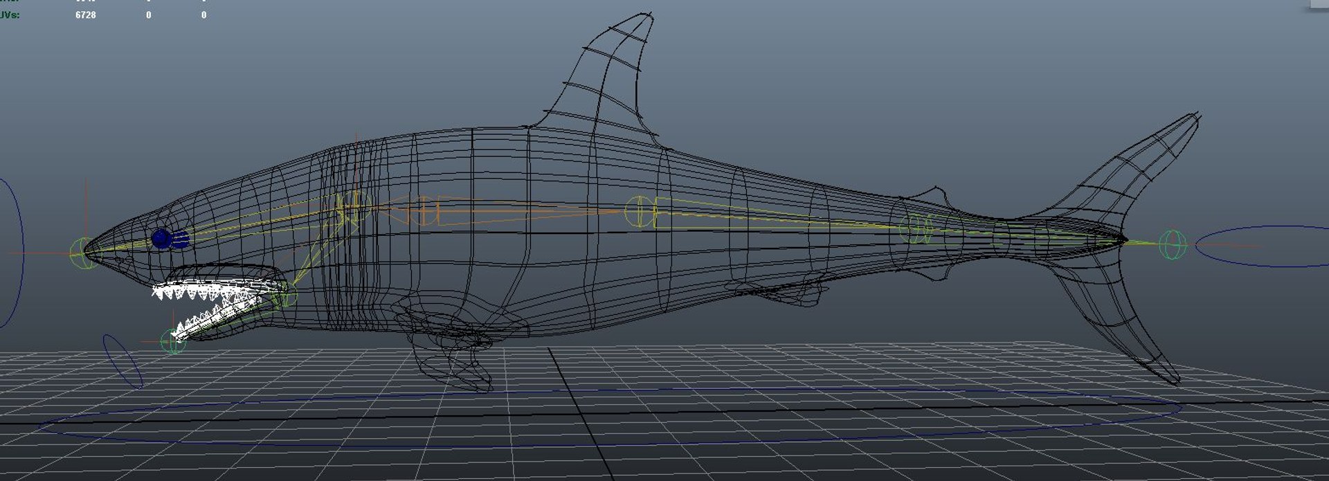 rigged shark ma