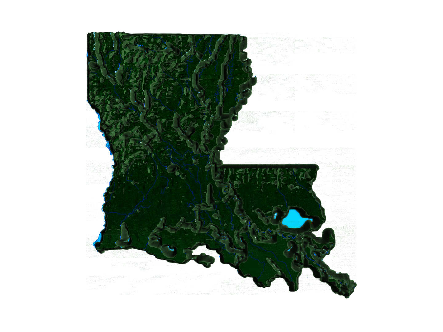 The Fifty II--the US in Displaced Meshes model https://p.turbosquid.com/ts-thumb/2E/3nVXzN/5S/louisianadisplaced/png/1770683230/1920x1080/turn_fit_q99/92ac8f8224640ee02183821dc4599c583a667109/louisianadisplaced-1.jpg