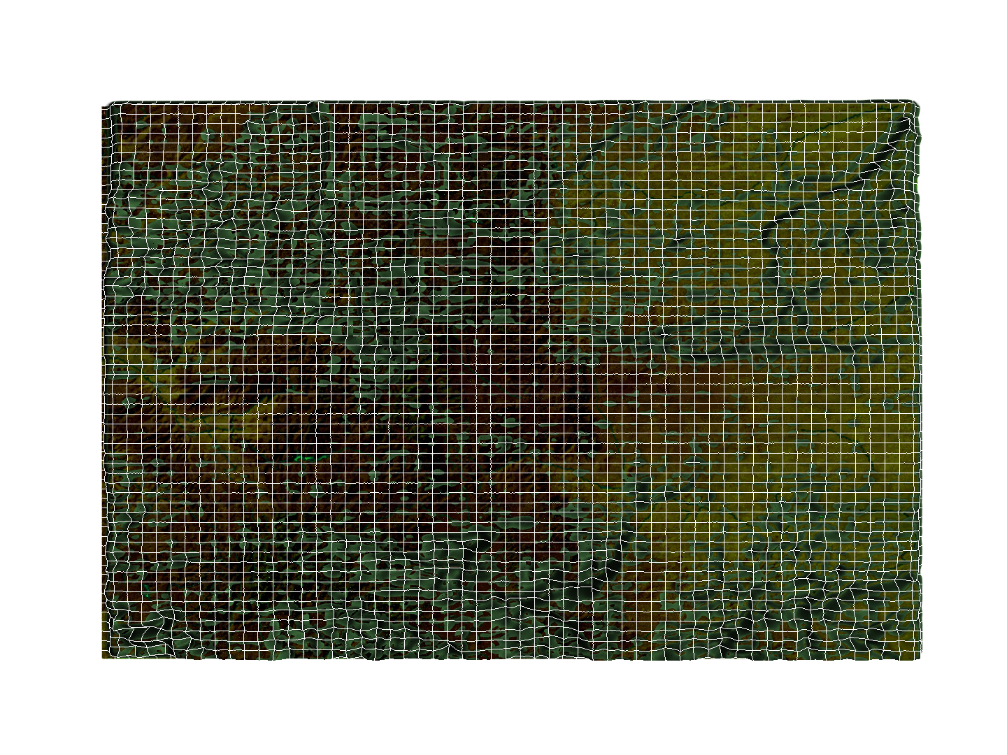 The Fifty II--the US in Displaced Meshes model https://p.turbosquid.com/ts-thumb/2E/3nVXzN/7d/coloradodisplaced/png/1770682086/1920x1080/turn_fit_q99/a28f351db92f518de0bf2ef1f68cfd1af76e88c4/coloradodisplaced-1.jpg