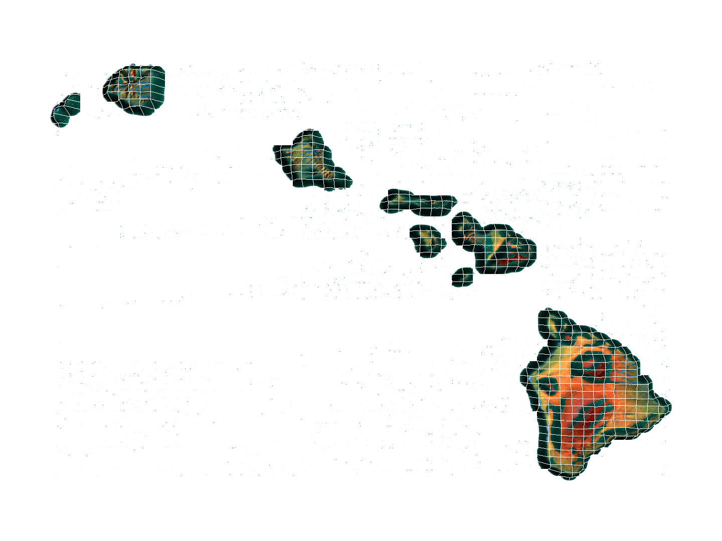 The Fifty II--the US in Displaced Meshes model https://p.turbosquid.com/ts-thumb/2E/3nVXzN/QG/hawaiidisplaced/png/1770682685/1920x1080/turn_fit_q99/6e81e68ceb9b2e8820080cd796291db375472eb1/hawaiidisplaced-1.jpg