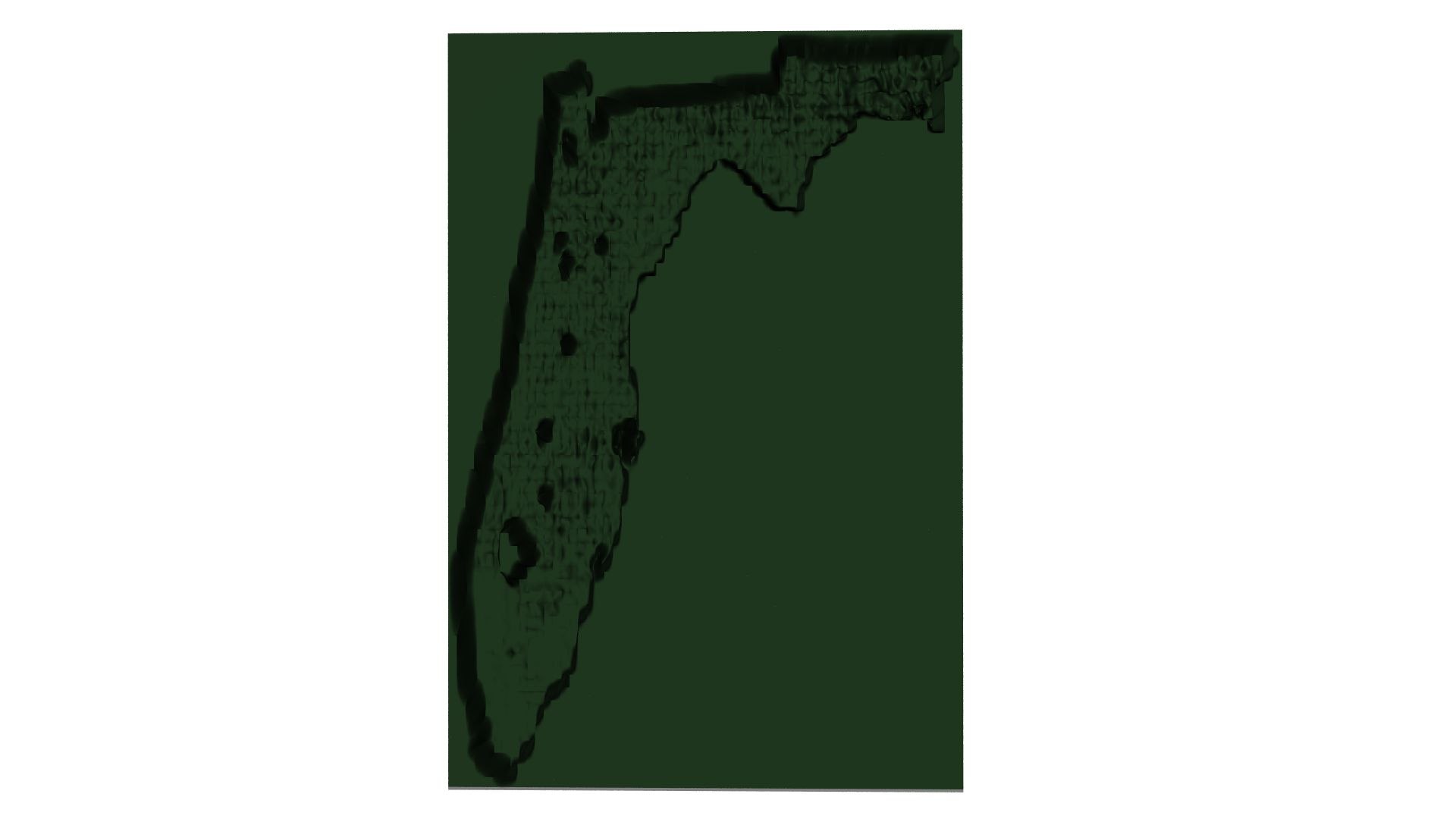 The Fifty II--the US in Displaced Meshes model https://p.turbosquid.com/ts-thumb/2E/3nVXzN/S8/floridadisplaced1920x1080rear/jpg/1771362637/1920x1080/fit_q87/077582d0314229f6400c62d1c17c8d35288626f2/floridadisplaced1920x1080rear.jpg