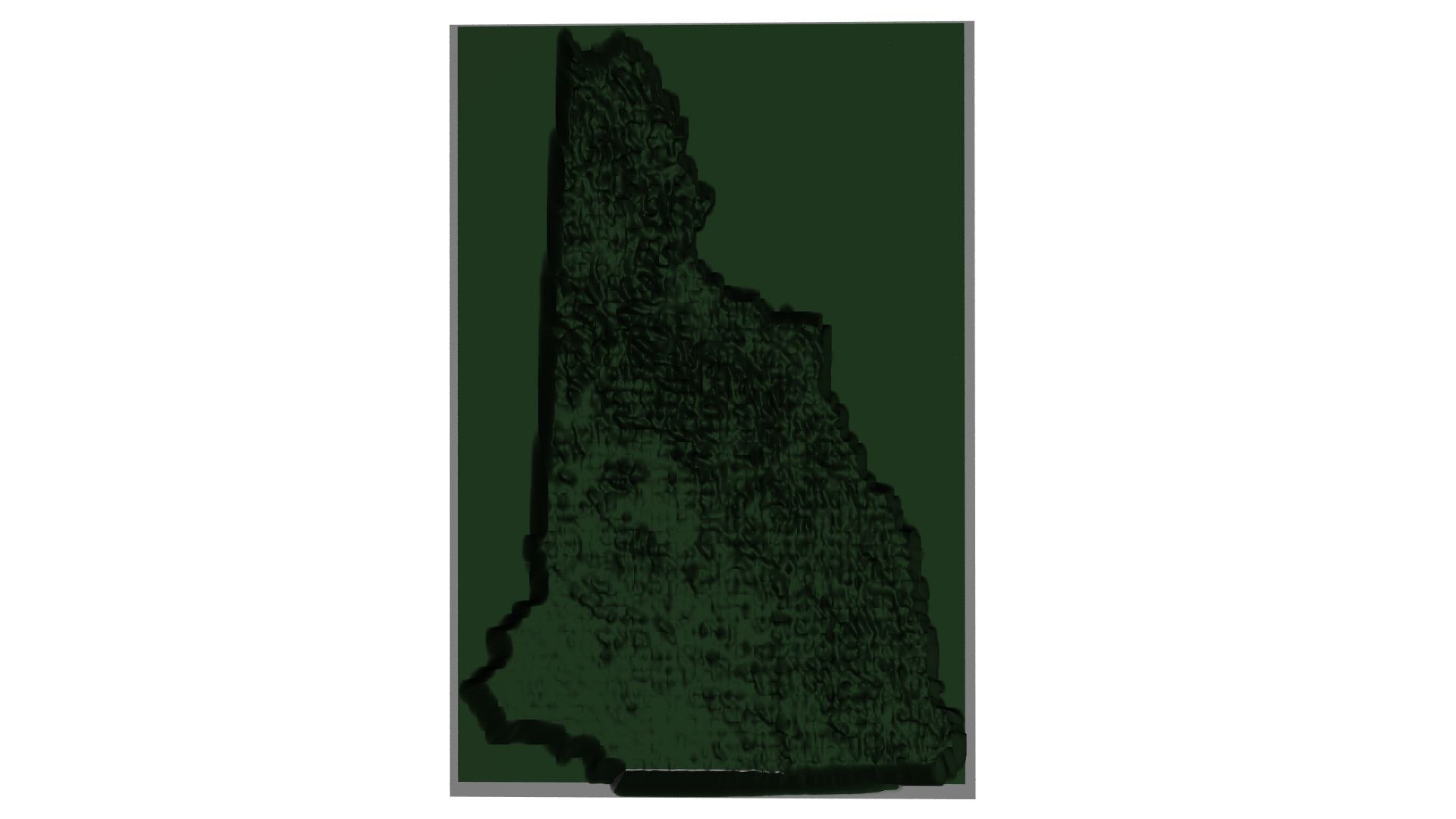 The Fifty II--the US in Displaced Meshes model https://p.turbosquid.com/ts-thumb/2E/3nVXzN/WU/newhampshiredisplaced1920x1080rear/jpg/1771368051/1920x1080/fit_q87/11540c69a0a4752f1d318984d7810789c81a063a/newhampshiredisplaced1920x1080rear.jpg