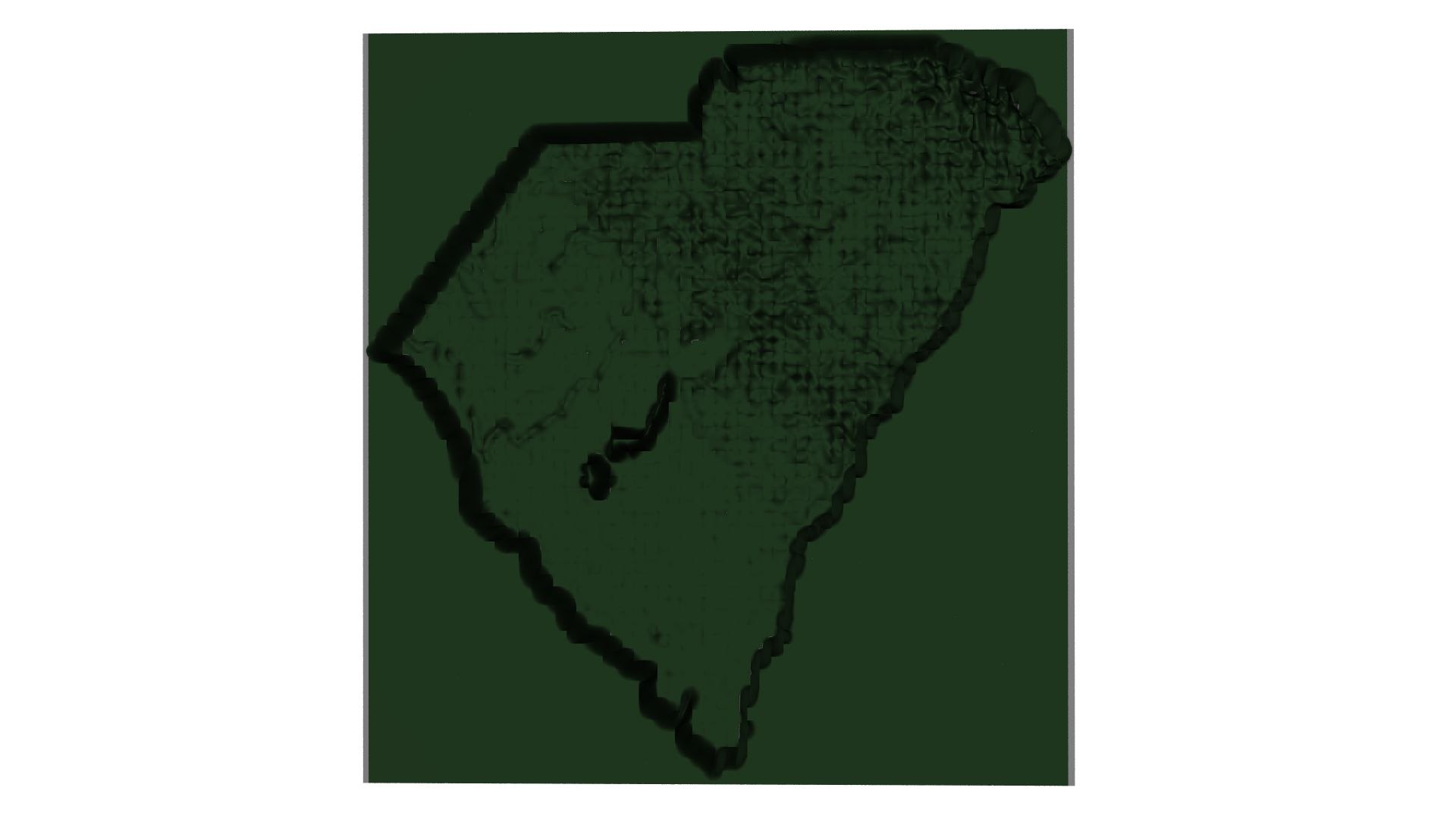 The Fifty II--the US in Displaced Meshes model https://p.turbosquid.com/ts-thumb/2E/3nVXzN/lN/southcarolinadisplaced1920x1080rear/jpg/1771874280/1920x1080/fit_q87/d152d601ea97ff3a90098702620060ed53bf1880/southcarolinadisplaced1920x1080rear.jpg