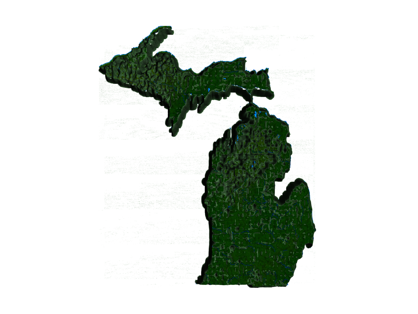 The Fifty II--the US in Displaced Meshes model https://p.turbosquid.com/ts-thumb/2E/3nVXzN/rV/michigandisplaced/png/1770683496/1920x1080/turn_fit_q99/d067275cb14de64238170bfaa0c3713cfef47278/michigandisplaced-1.jpg